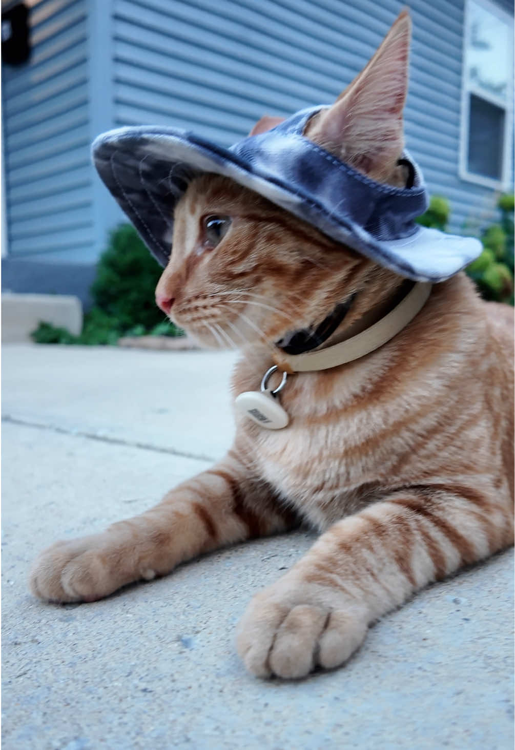 Captain on neighborhood watch 👀