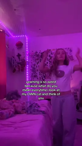 yes cats remind me of you🥲