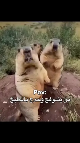 🤏🥰