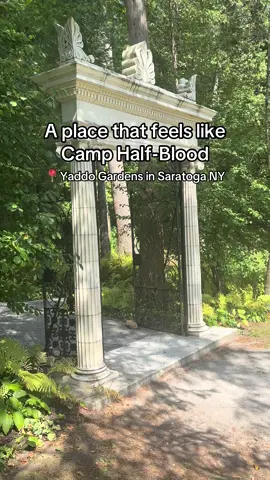 Who would you take with you here? #percyjackson #pjo #camphalfblood #chb 