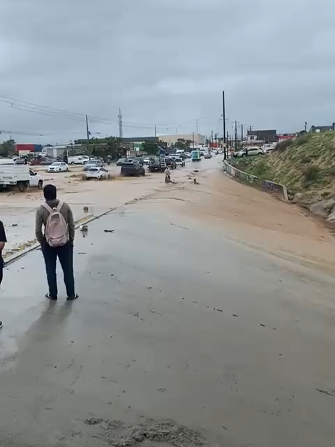 Capturan momento de tensión donde un perrito es arrastrado por las corrientes de agua sobre el vado de Lagunitas que desemboca en el arroyo Salto Seco de Cabo San Lucas. Afortunadamente el canino fue capaz de ponerse a salvo. #loscabos #huracan #lorena #CaboSanLucas #perro