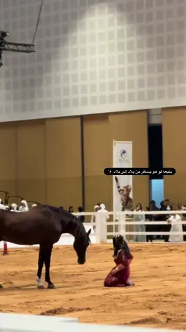 يتبعه لو هو مسافر من بلاد إلى بلاد ✨🐎 #معرض_أبوظبي_الدولي_للصيد_والفروسية
