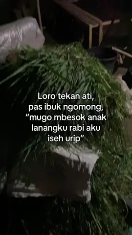 Mugo sehat-sehat terus buk🤲🏻 #etawaindonesia #etawakaligesing #KandangBapakFarm #etawaluarbiasa #peternakmuda 