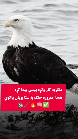 #afghanistan🇦🇫 #foryou #unfrezzmyaccount #foryou #unfrezzmyaccount 
