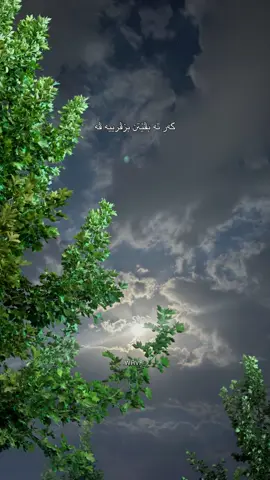 #fyp #اكسبلور_explore #blindibrahim 