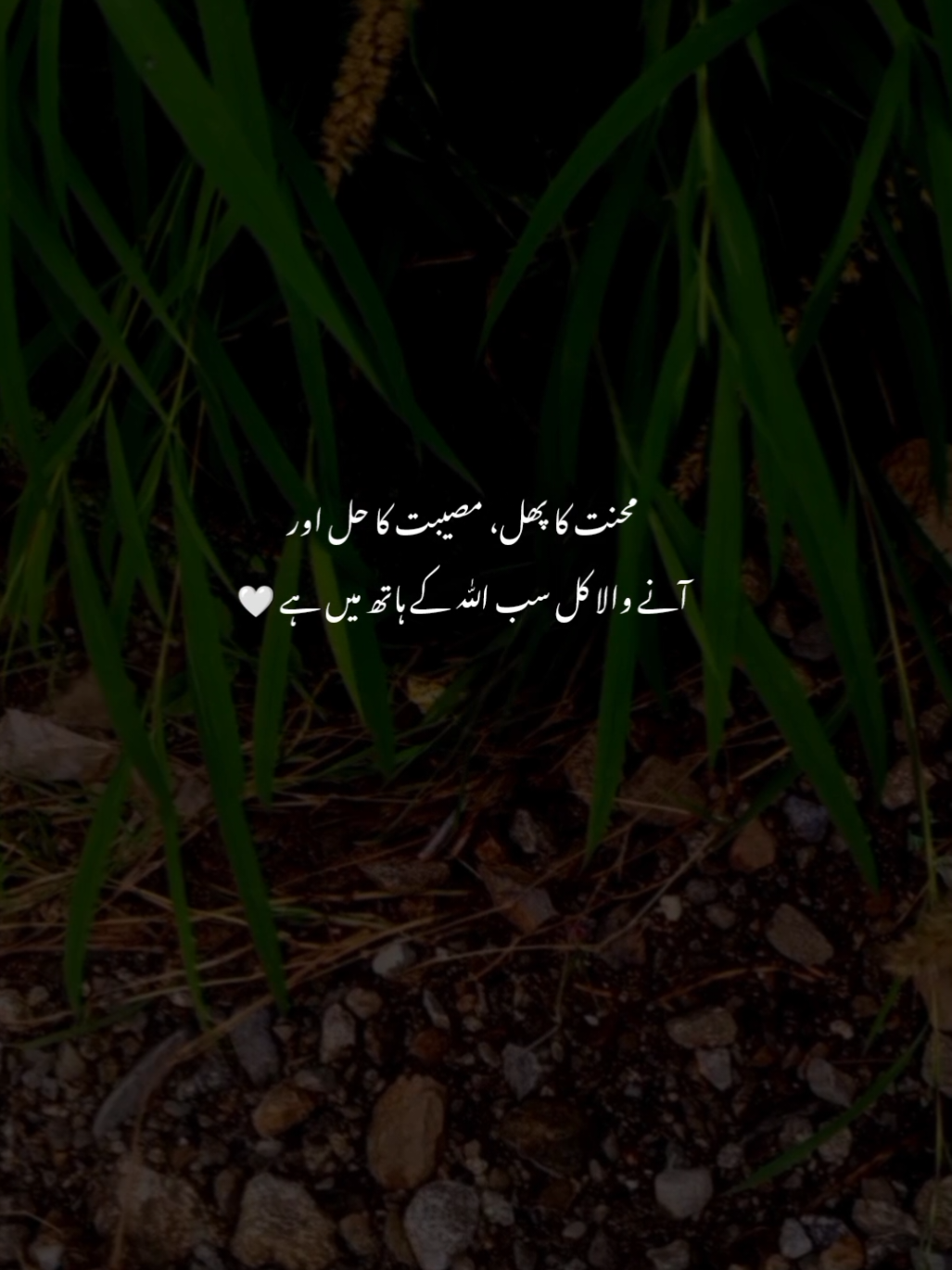🌚🤍 | #Ziroox #fyp #foryou #foryoupagе #sad #sadpeotry #sadshayri #urdu #urdypeotry #urdushayari 