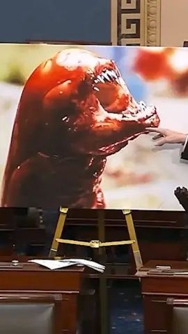 Republican Senator John Kennedy warned eating radioactive shrimp could turn you into the xenomorph from the movie Alien after contaminated seafood was recalled from US supermarkets twice recently. Click link in bio for more 🔗