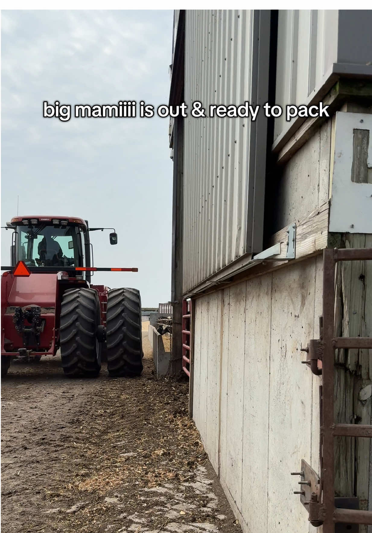 Gearing up to chop silage 🙌🏼🌽 #farmtok #ranchtok #feedlot #silage2025 #silage 