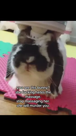she is planning it trust me. #spirituality #bunny 