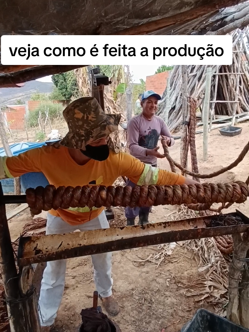 veja como é o processo do fumo do início até o consumo  #viraltiktok #cigarro  #viral #brasil #interior 