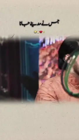 Madine jana😭🤍✨ #12rabi_ul_awal #rabiulawalstatus #muhmmad_s_a_w #farhanaliwaris #eshamahnoor 