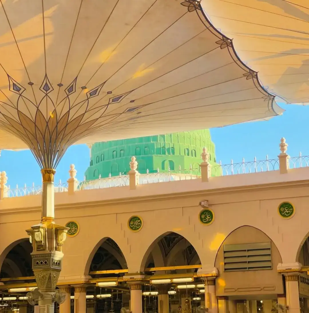 #مدینہ  #مدینہ_منورہ  #madina  #madinah  #foryou