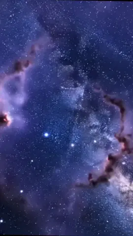 Dicen que Tauro es fuerte y terco… pero pocos conocen la sensibilidad que guarda en silencio. 💫✨ ¿Tú también has visto esa parte oculta? 🐂💚 Déjalo en comentarios y sígueme para descubrir más secretos del alma taurina. #Tauro #SignosZodiacales #AlmaTauro #Zodiaco #astrología 