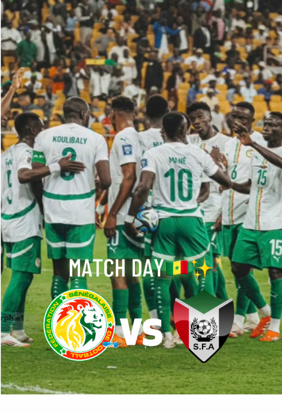 MankoWutiNdamli🇸🇳🦁❤️ #equipenationalesenegal #senegal #soudan #omzolemarseillais💙🇸🇳 #gogaindés 