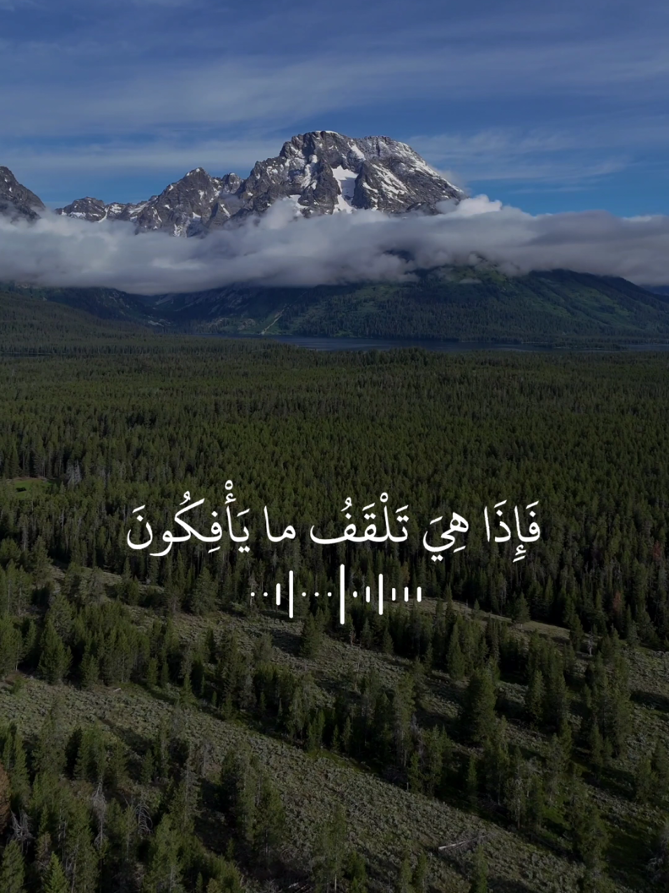 #ارح_سمعك_بالقران #تلاوة_خاشعة #اسلام_صبحي #راحة_نفسية #islam 