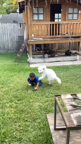 #jajaja #fypシ 