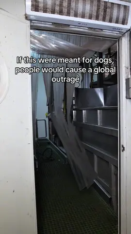 But they decided it was okay for other animals