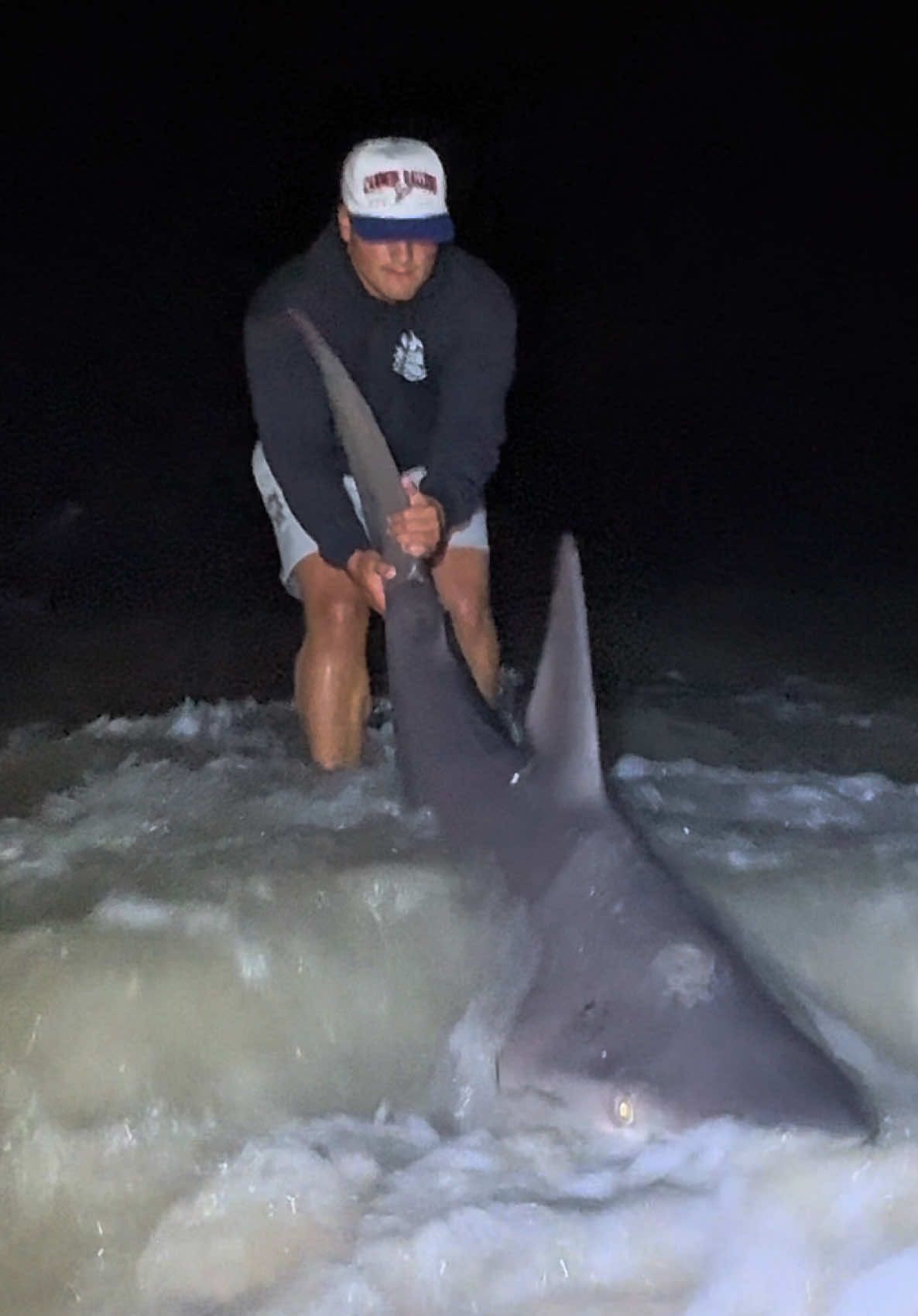 Tagging and releasing a giant sandbar shark #nj #newjersey #lbsf #landbasedsharkfishing #apexanglers 