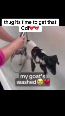 #washed #music #meme #lol #relatable 