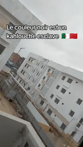 les kahlouche #maroco🇲🇦algeria🇩🇿tunisia🇹🇳 #esclave #noir 