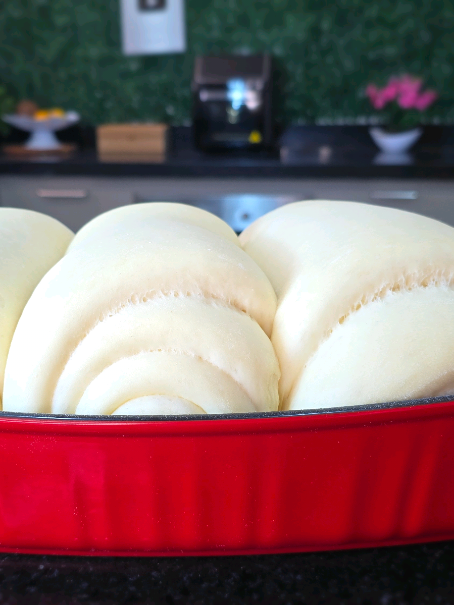 🥖✨ Pão Caseiro Super Fofinho com Fermento de Padaria ✨🥖 Imagina um pão quentinho, macio e cheiroso saindo do forno… 😍 Essa receita é prática, econômica e perfeita para acompanhar o café da manhã ou da tarde! ☕🍞 📌 Ingredientes 15g de fermento fresco (ou 10g de fermento seco) 1 colher de sopa rasa de sal 🧂 3 colheres de açúcar 🍬 500ml de água morna 💧 2 ovos inteiros 🥚🥚 100ml de óleo 🌻 1kg de farinha de trigo (adicione aos poucos até a massa ficar lisa ✋) 🔥 Dica: quanto mais sovar, mais fofinho seu pão vai ficar! 📖 Quer aprender a fazer pães gigantes, fofinhos e irresistíveis? Adquira agora o meu E-BOOK TOP 10 RECEITAS DE PÃES CASEIROS por apenas R$9,90 👉 é só clicar no link do perfil! 💬 E aí, você prefere pão caseiro quentinho com manteiga 🧈 ou com geleia 🍓? Me conta nos comentários! ✅ Salva 👉 Curte ✍️ Comenta 🔗 Compartilha #pãocaseiro #pãofofinho #pãoartesanal #receitafacil #cafedatarde 