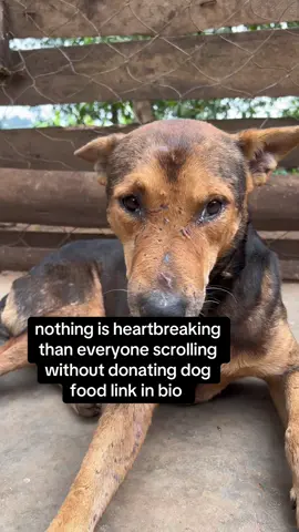 help us with feeds to end hunger please 