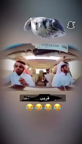 #سحاليات😉✈️ #تايلنديه #الرياض #مقناص_الطيور #الساحل_لاتناحل 