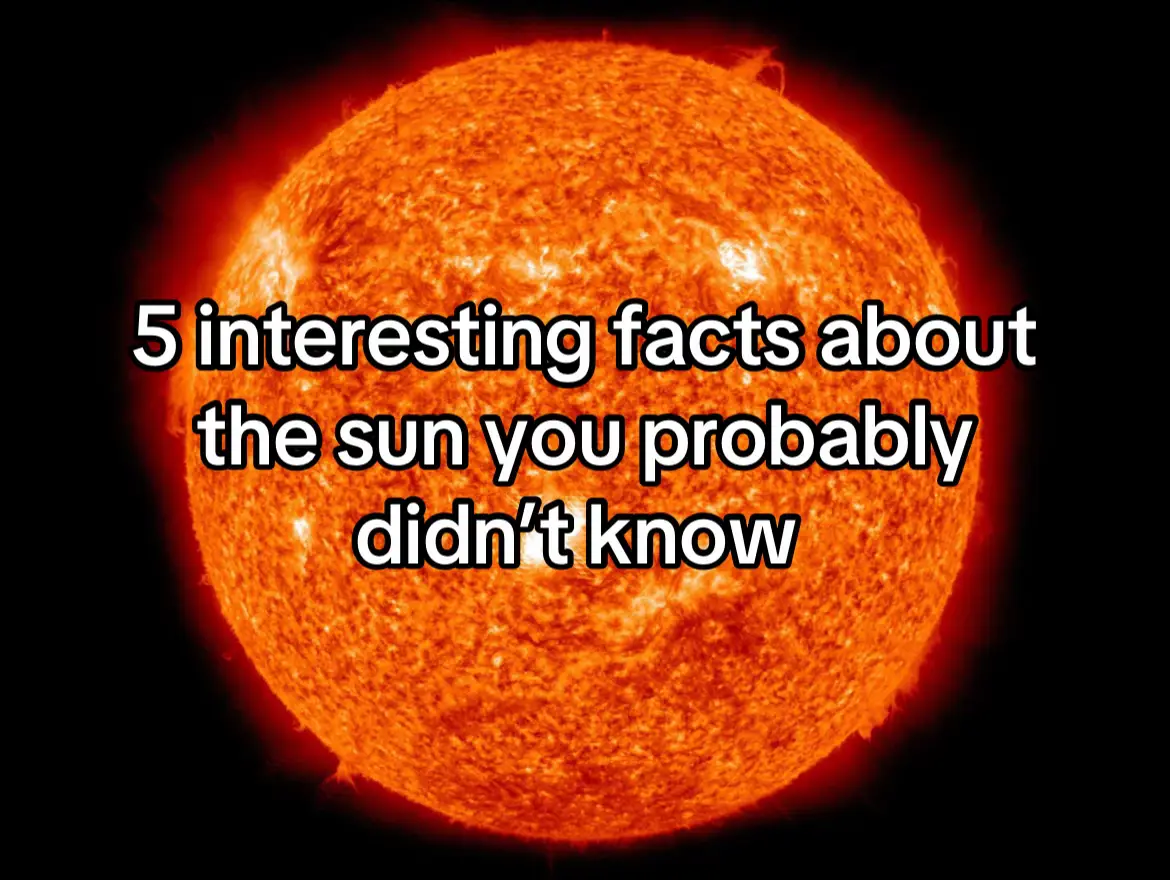 Did you know these facts? #fyp #sun #star #space #facts 