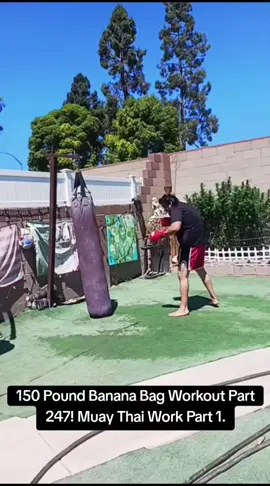 150 Pound Banana Bag Workout Part 247! Muay Thai Work Part 1. #fyp #mma #fighttraining #homegym #boxing 