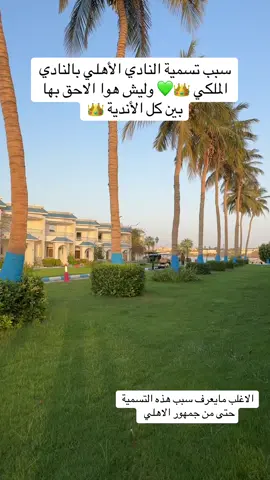 نادينا ملكي و نحنا الملوووووك 👑💚💚
