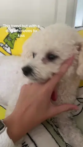 #fyp #dog #cute 