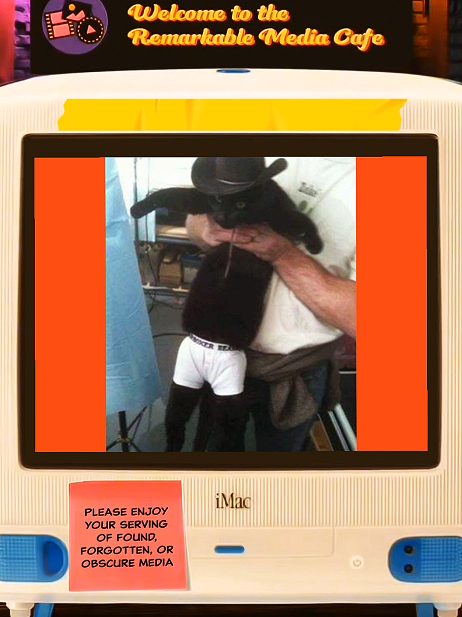 The smallest undies in the West [ #foundmedia #cat #weirdtok #weirdcore #fyp ]