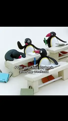 I HATE Mondays  #pingu #nootnoot 
