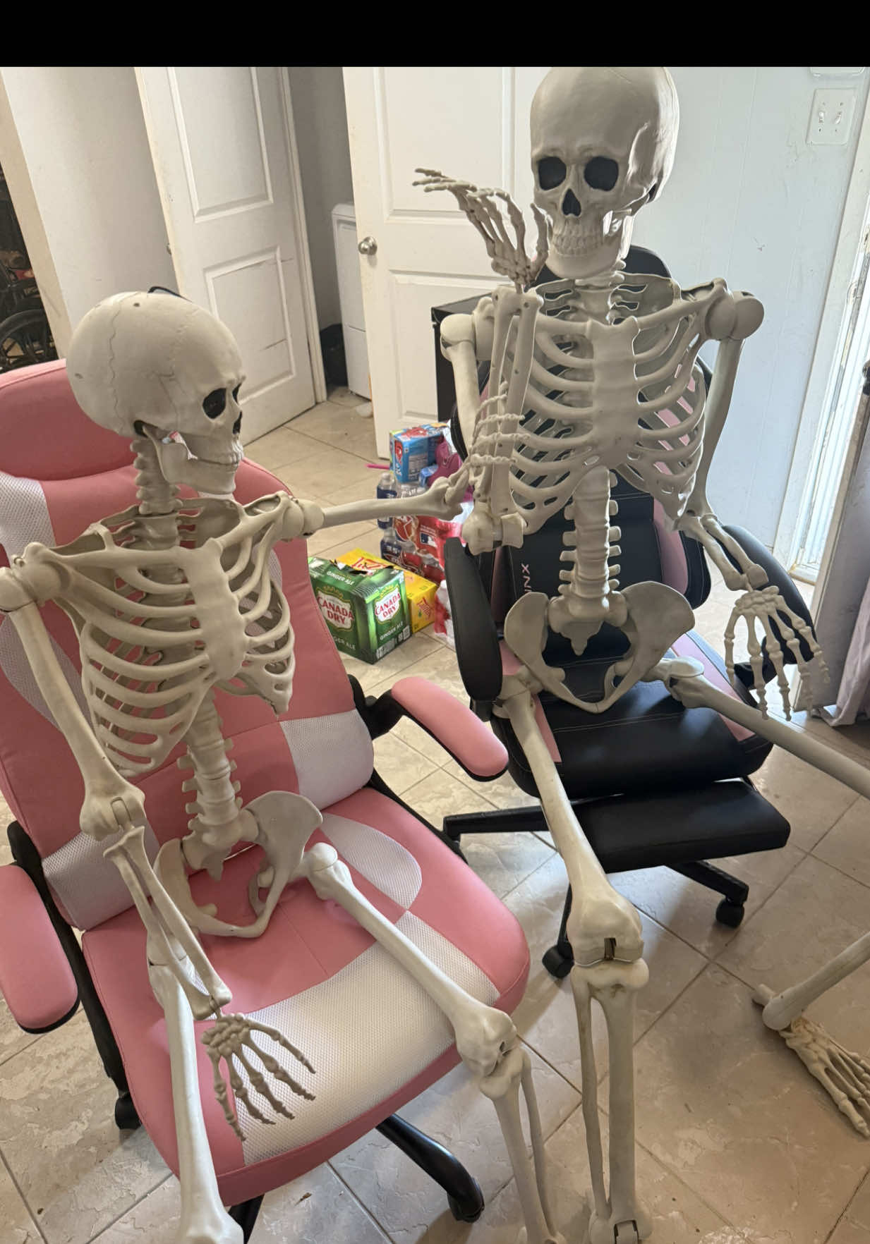 Soooky season is approaching and the skeletons are multiplying 💀💀 #halloween #skeleton 