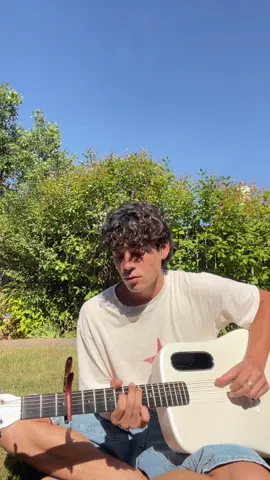 The bug collector 🐞 #guitartok #guitar #cover #thebugcollector #acoustic 