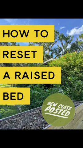 How to reset a garden bed.  NEW CLASS posted on Patreon!   #garden #gardening #raisedbeds #raisedbedgarden 