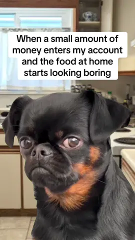 Boring or too much work #Meme #MemeCut #capcut #struggleisreal 