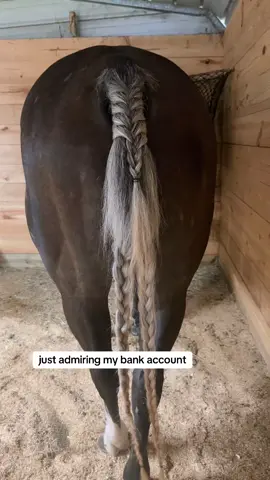 He’s a looker🤩 #fyp #islebflashin #barrelhorse #barrelracer 