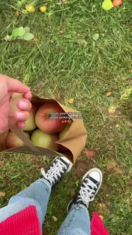 can’t wait to eat all the apple cider donuts again!!!  #applepicking #fallactivities #fallbucketlist 