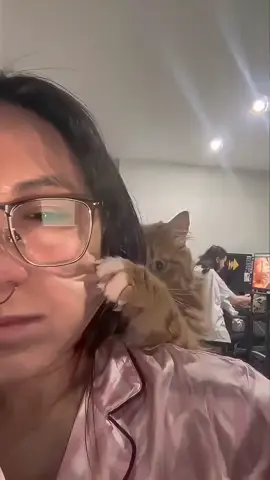 Bad kitty… #EnhanceThatAI #ai #cursed #funny #cat 