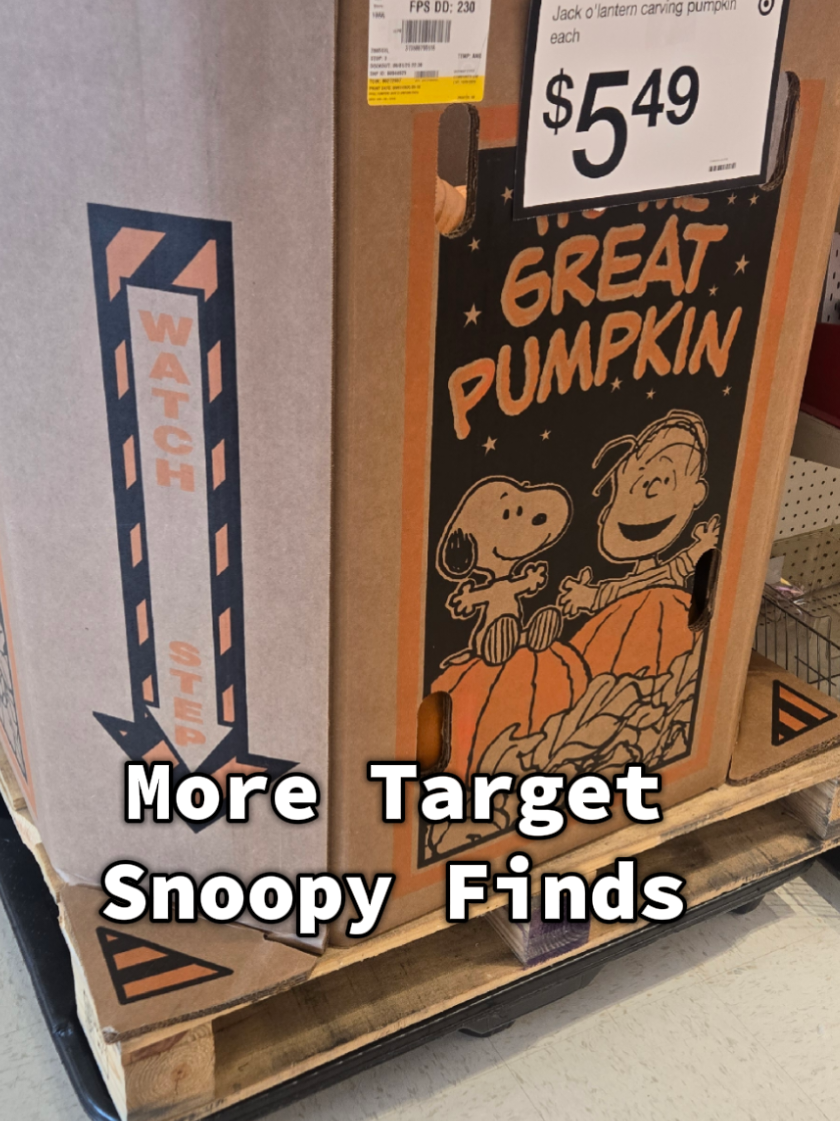 Pumpkins are here! #Target #Snoopy #Autumn #Peanuts #Nostalgia 