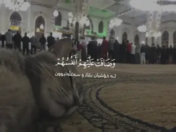#video_islamic #muslim #عمیر_شمیم #viral #foryou 