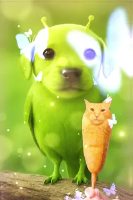 Gogowl 🦉👽💚 #Gogthealiendog #meowl #corndogcat #brainrot #fyp 