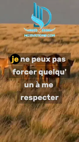 #viralvideos  #motivation #citation #lions 