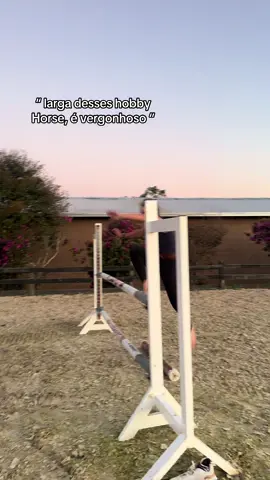 Vergonhoso é não ter coragem de viver aquilo que te faz feliz. 🐴✨#hobbyhorse #hobbyhorsing #showjumping #hobbyhorsebrasil #sports 