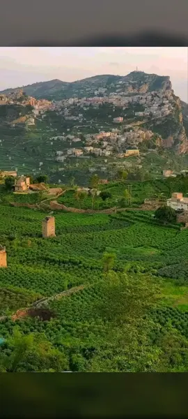 بلادي الخضراء#