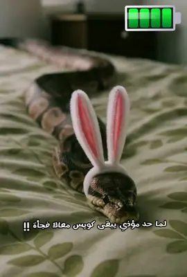 لما حد مؤذي يبقى كويس معاك فجأة !!#trend #الشعب_الصيني_ماله_حل😂😂 #fypシ゚viral #fyppppppppppppppppppppppp #بيت 