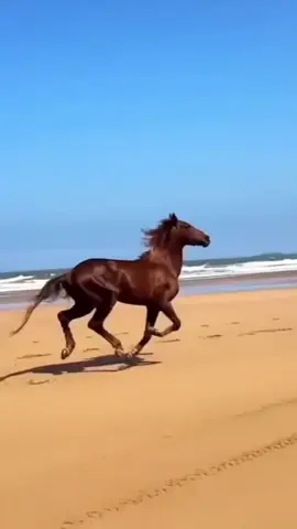 سأبدأ من جديد هذه المرة #