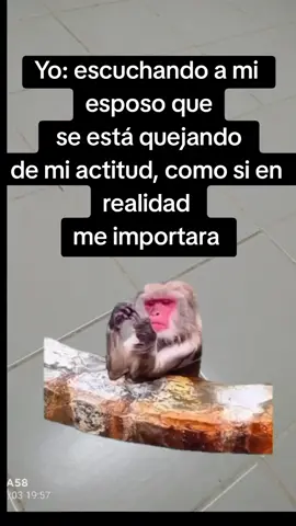 #paratiiiiiiiiiiiiiiiiiiiiiiiiiiiiiii #Meme #MemeCut #CapCut 
