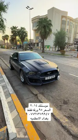 #معارض_السيارات #بغداد #موستنج_شلبي🧿 #موستنك #كمارو_بغداد 